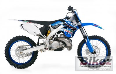 2012 TM Racing MX 300 photo